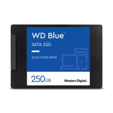 WDS250G2B0A SSD