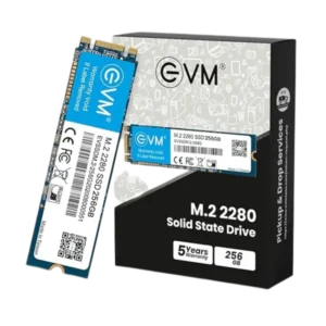 EVM M.2 (2280) 256GB SSD SATA