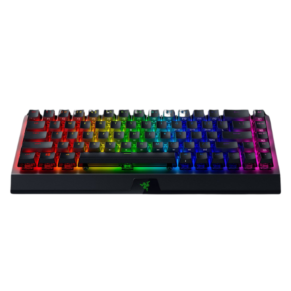 Your Gameplay with the Top 5 Gaming Keyboards of 2024 6 Razer BlackWidow V3 Mini