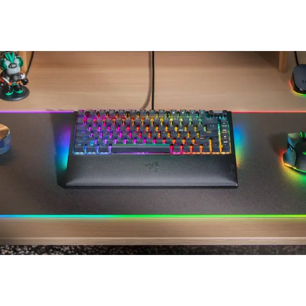 Razer made a custom keyboard! Razer BlackWidow V4 75% Review 