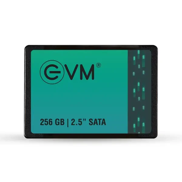 EVM 256GB 2.5 INCH SATA SSD