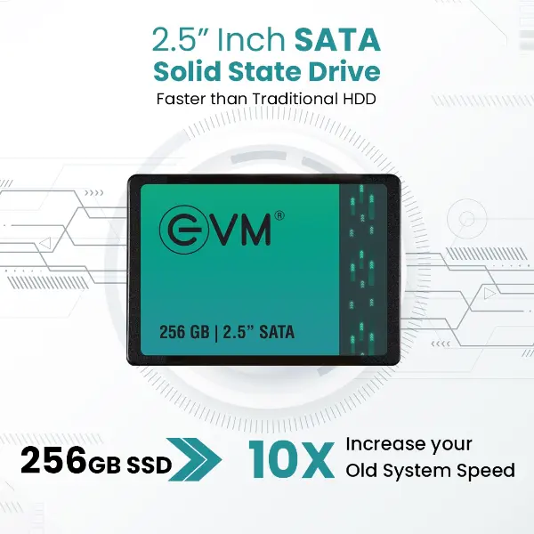 EVM 256GB 2.5" INCH SATA SSD 6 EVM 256GB 2.5 INCH SATA SSD