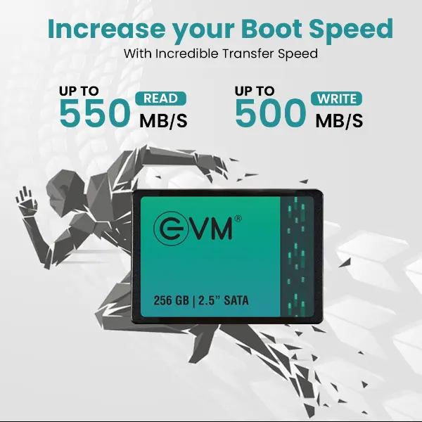 EVM 256GB 2.5" INCH SATA SSD 5 EVM 256GB 2.5 INCH SATA SSD
