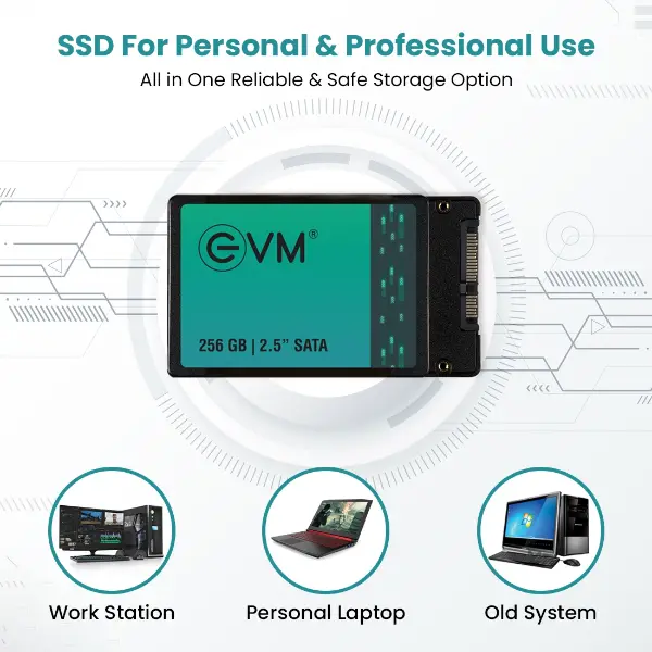 EVM 256GB 2.5" INCH SATA SSD 4 EVM 256GB 2.5 INCH SATA SSD